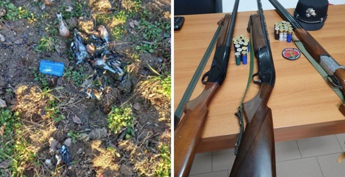 Abbattono fringuelli, denunciati tre bracconieri nei boschi di Sorianello