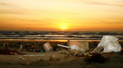 Giornate ecologiche a Briatico, i volontari Plastic free sulla spiaggia di punta Safò