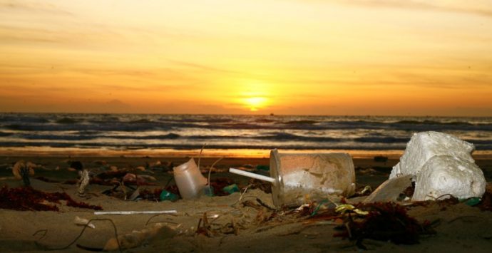 Tutela del mare, nasce il gruppo “Uniti per il golfo di Sant’Eufemia”