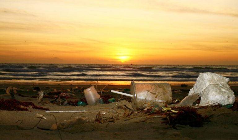 Giornate ecologiche a Briatico, i volontari Plastic free sulla spiaggia di punta Safò