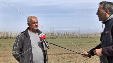 Imprenditore del Vibonese: «Non troviamo operai, colpa del reddito di cittadinanza»