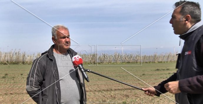 Imprenditore del Vibonese: «Non troviamo operai, colpa del reddito di cittadinanza»