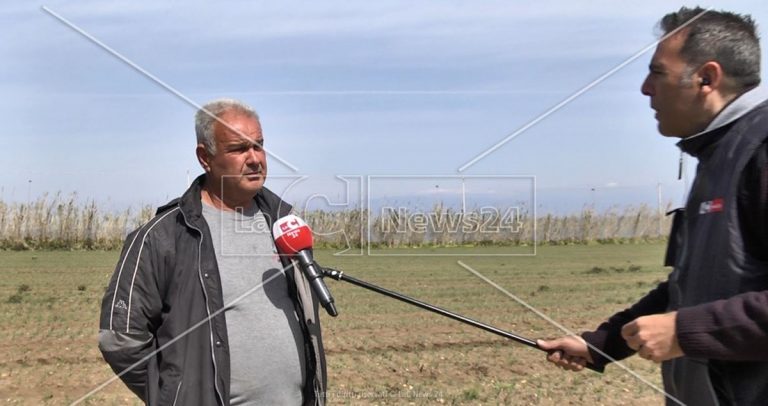 Imprenditore del Vibonese: «Non troviamo operai, colpa del reddito di cittadinanza»