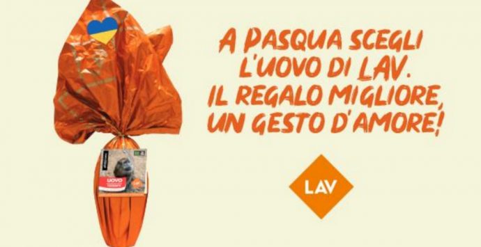 Lav in piazza anche a Vibo per dire no alla vendita degli animali esotici