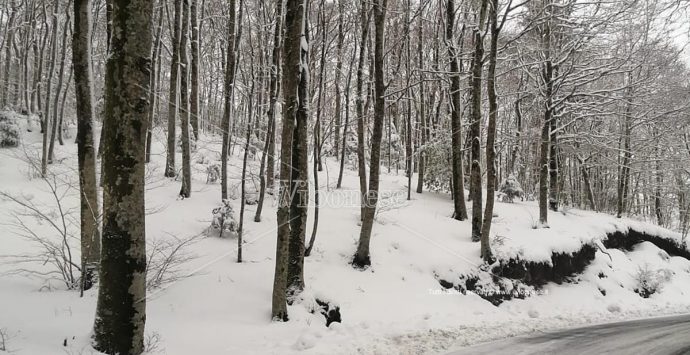 Neve nelle Serre, paesaggi da fiaba su Monte Pecoraro e scuole chiuse in tre paesi