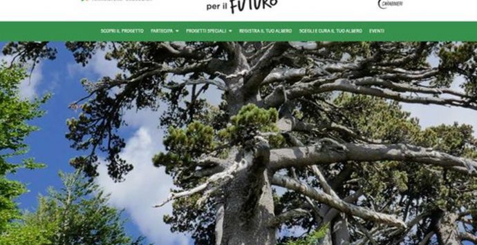 Tropea, il Comune aderisce al progetto nazionale “Un albero per il futuro”