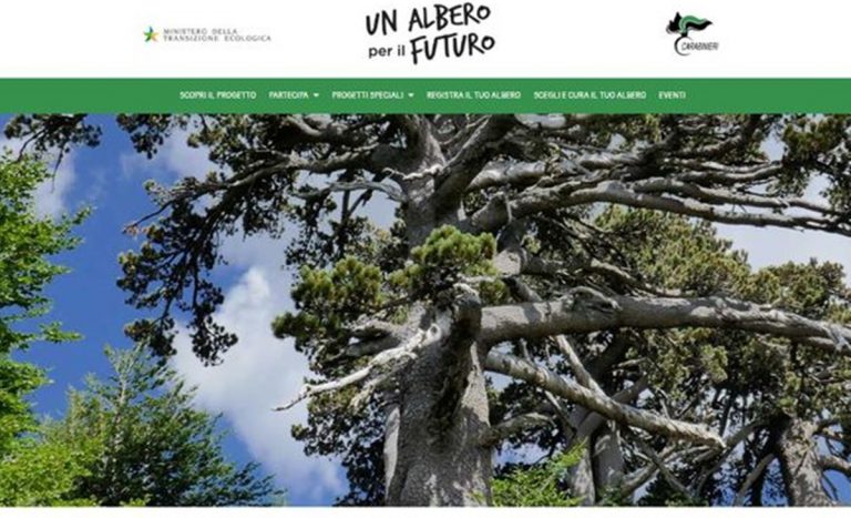 Tropea, il Comune aderisce al progetto nazionale “Un albero per il futuro”