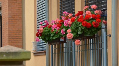 A Vibo torna il concorso “Balconi fioriti”: ecco il regolamento