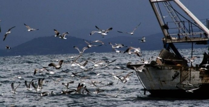 Caro gasolio, si fermano anche i pescherecci di tutta Italia