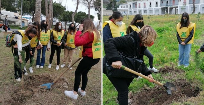 La Pineta di Tropea rinasce con la messa a dimora di altre 100 piante