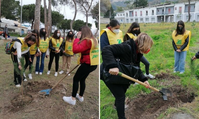 La Pineta di Tropea rinasce con la messa a dimora di altre 100 piante