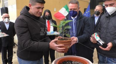 Vibo, al Gagliardi piantato ficus in memoria di Falcone: la talea arriva dalla casa del magistrato