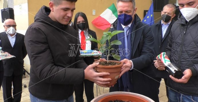 Vibo, al Gagliardi piantato ficus in memoria di Falcone: la talea arriva dalla casa del magistrato