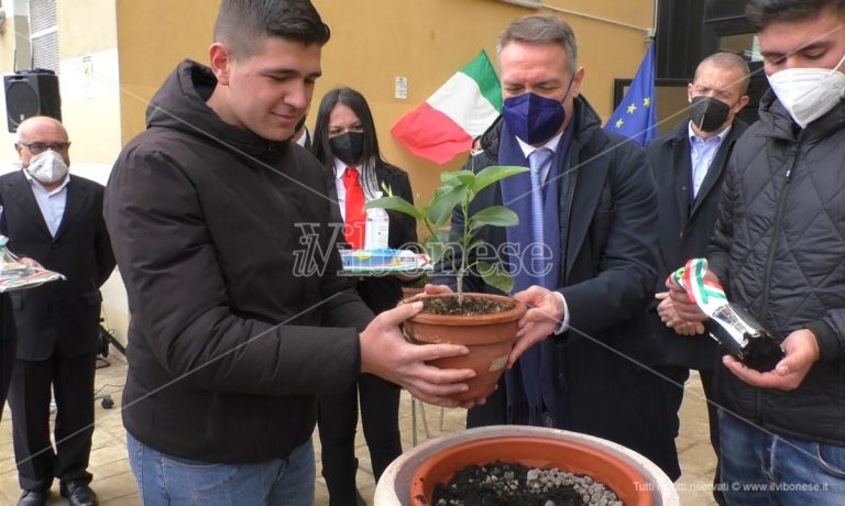 Vibo, al Gagliardi piantato ficus in memoria di Falcone: la talea arriva dalla casa del magistrato