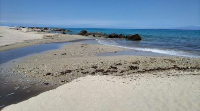 Pulizia della spiaggia di Bivona, da Calzone (Wwf) otto punti per “smontare” l’assessore Bruni