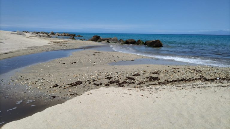 Pulizia della spiaggia di Bivona, da Calzone (Wwf) otto punti per “smontare” l’assessore Bruni