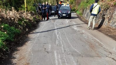 Messa in sicurezza delle strade del Vibonese, la Provincia fa il punto