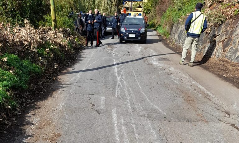 Messa in sicurezza delle strade del Vibonese, la Provincia fa il punto