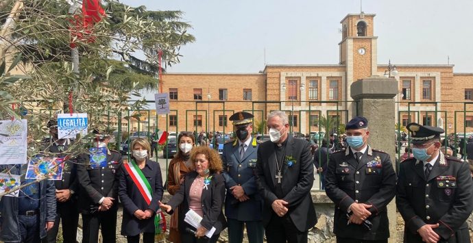 Vibo, alla scuola Don Bosco ripiantato l’albero della legalità – Foto