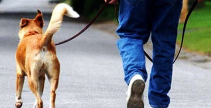Cani ed escrementi: il sindaco di Maierato dichiara “guerra” agli sporcaccioni