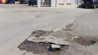 Vibo, continua l’incuria delle strade che portano ad alcuni istituti superiori