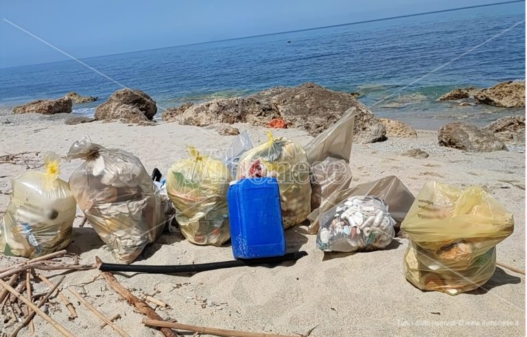 Santa Domenica, la spiaggia della Scalea ripulita da 80 chili di plastica dai volontari di Plastic free