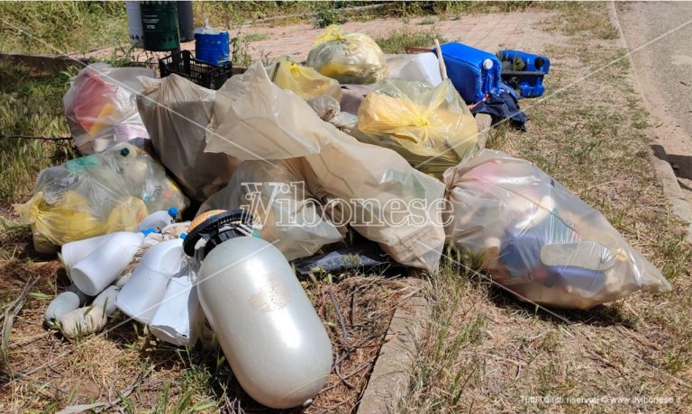 Plastic free, per la data nazionale coinvolti 247 comuni: ce ne sono anche 3 vibonesi