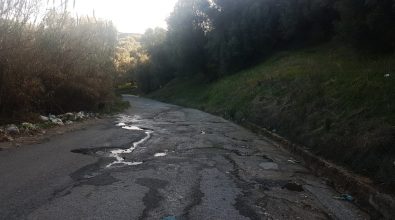 Strade vibonesi nel degrado, Cisal: «Servono pulizia e manutenzione, s’investa sulla viabilità»