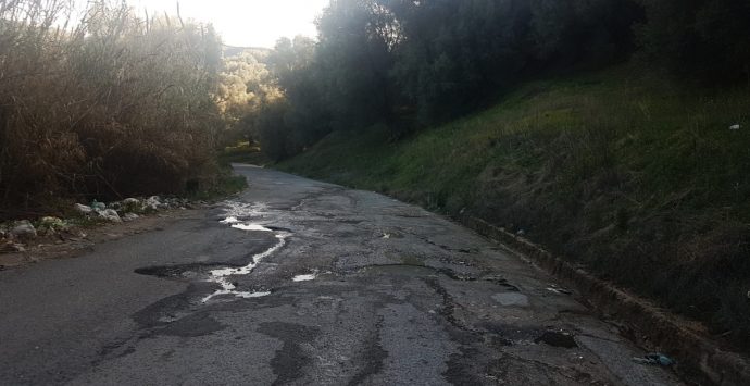 Strade vibonesi nel degrado, Cisal: «Servono pulizia e manutenzione, s’investa sulla viabilità»