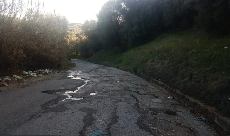 Strade vibonesi nel degrado, Cisal: «Servono pulizia e manutenzione, s’investa sulla viabilità»