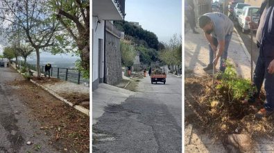 Nicotera si prepara all’estate, pulite strade e aree verdi grazie ai volontari comunali