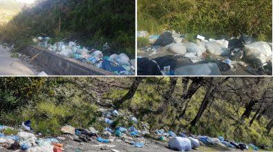 Montagne di rifiuti, voragini e degrado: viaggio da incubo lungo le strade del Vibonese – Foto