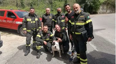 Cade in un dirupo insieme al suo cane, salvati dai vigili del fuoco di Vibo Valentia