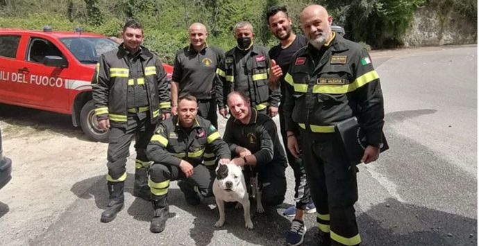 Cade in un dirupo insieme al suo cane, salvati dai vigili del fuoco di Vibo Valentia