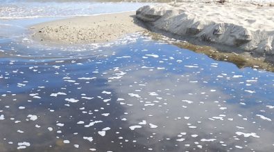 Torrente Sant’Anna di Bivona sversa ancora in mare, Patania (Confasila): «Nulla è cambiato»