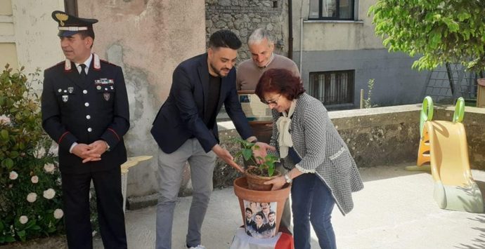 Serra, all’asilo “Chimirri” piantato l’Albero del giudice Giovanni Falcone