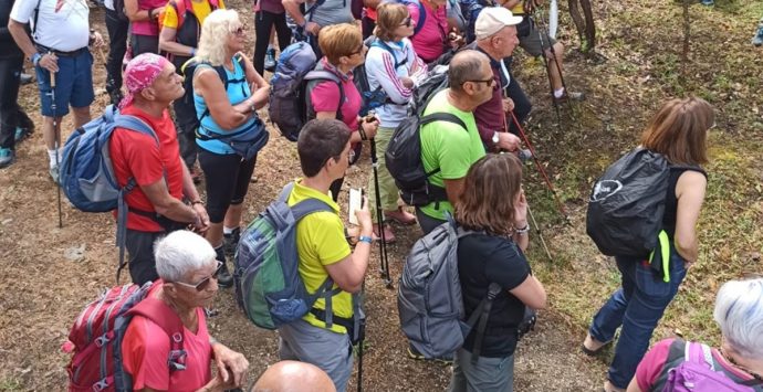 Ambiente, all’Oasi del Lago Angitola di scena ancora una volta la festa del Wwf