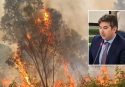 L’ecomafia sugli incendi boschivi in Calabria, Lo Schiavo chiede più uomini, mezzi e risorse