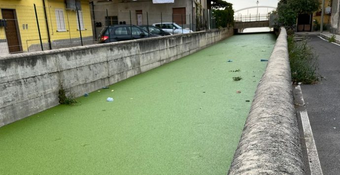 Fossi Sant’Anna e Antonucci, Barbuto: «Intervenire al più presto per la bonifica»