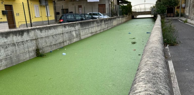 Vibo Marina, il fosso Antonucci non defluisce a mare: dal torrente un odore nauseabondo di fogna – Foto