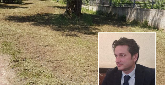 Parco Urbano di Vibo, l’assessore Bruni si scusa e assicura una soluzione