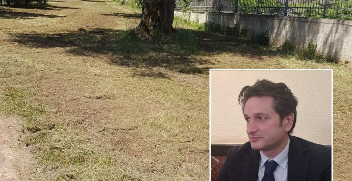 Parco Urbano di Vibo, l’assessore Bruni si scusa e assicura una soluzione