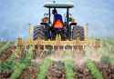 Vibo, la Coldiretti illustra la nuova politica agricola comunitaria