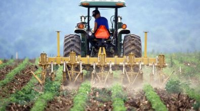 In Calabria le aziende agricole diminuiscono del 30,7%