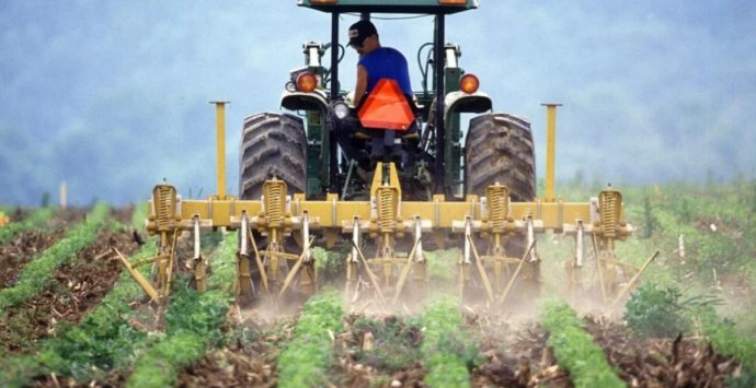 In Calabria le aziende agricole diminuiscono del 30,7%