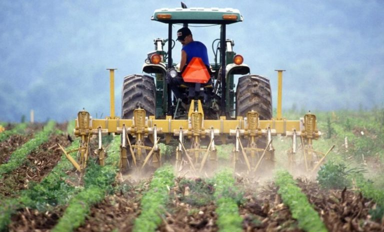 In Calabria le aziende agricole diminuiscono del 30,7%