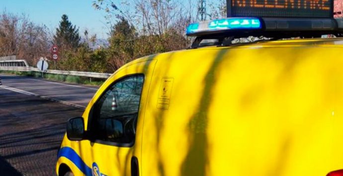Manutenzione degli spazi verdi sull’A2, lo svincolo Vibo-Sant’Onofrio sarà chiuso temporaneamente