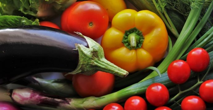 Mense biologiche, l’idea della Regione raccoglie consensi: Cessaniti dice sì