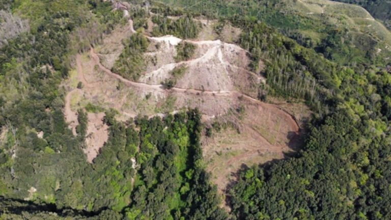 I carabinieri forestali fermano nel territorio di Drapia il taglio di un bosco in zona protetta