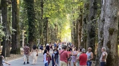 Serra San Bruno, il viale della Certosa torna ad essere pedonale